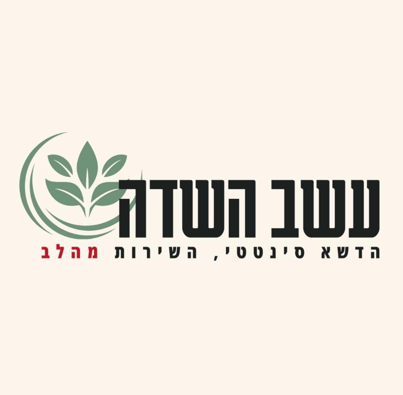 נחמן לוי